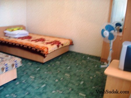������ ���� �������. �����