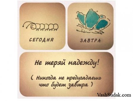 ��������� ����