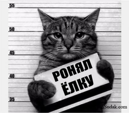 ������ ������������� :)))