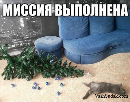 ������ ������������� :)))